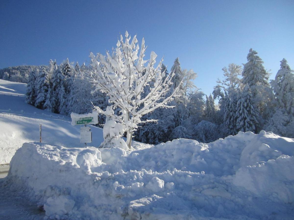 Farm stay Bauernhof Bilgeri *