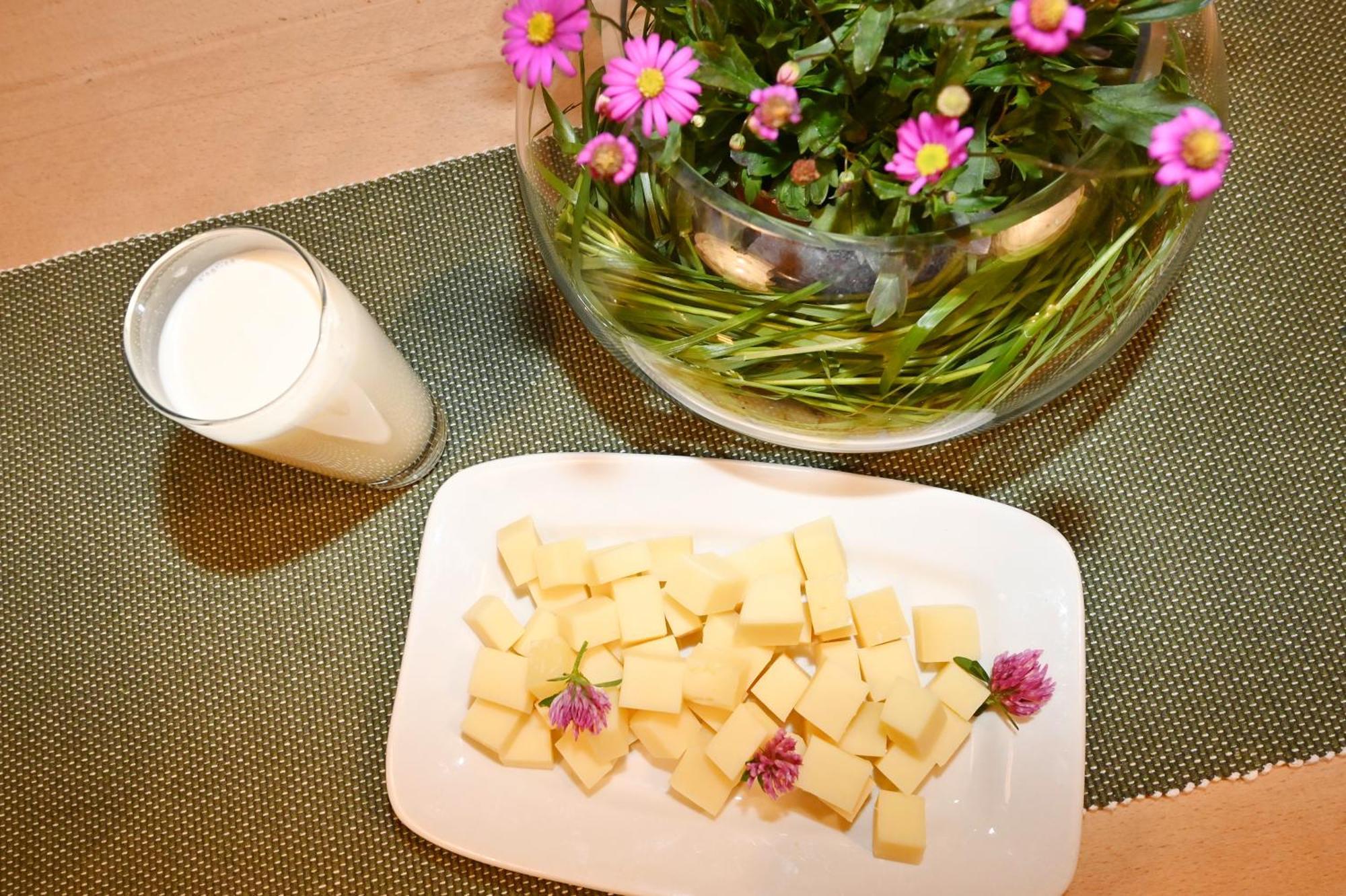 Bauernhof Bilgeri Farm stay