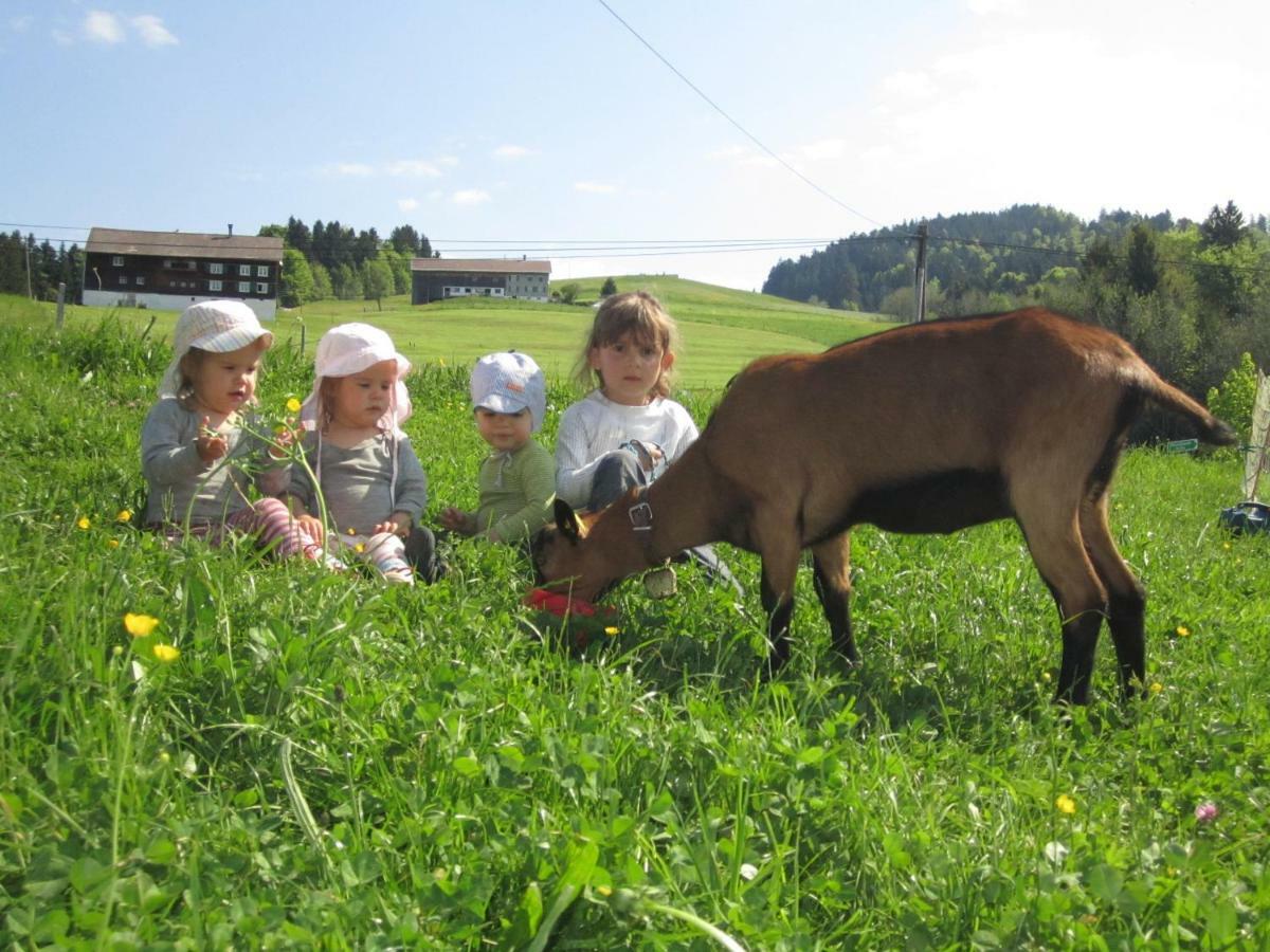Farm stay Bauernhof Bilgeri Hittisau