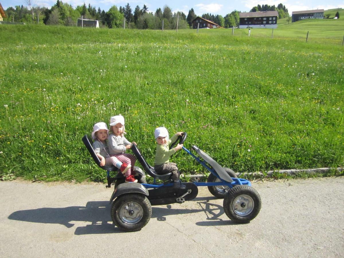Bauernhof Bilgeri * Hittisau