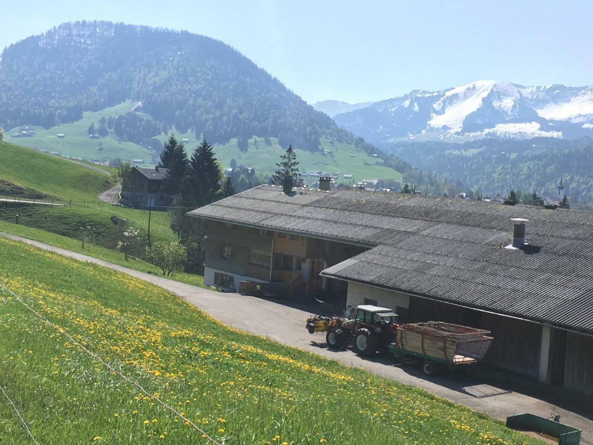 Bauernhof Bilgeri *