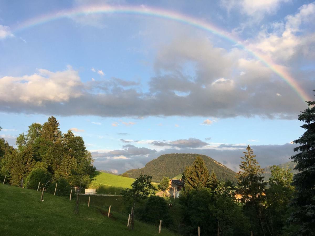 Farma Bauernhof Bilgeri